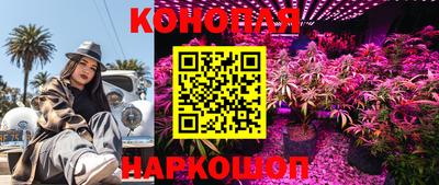 мдпв Пенза