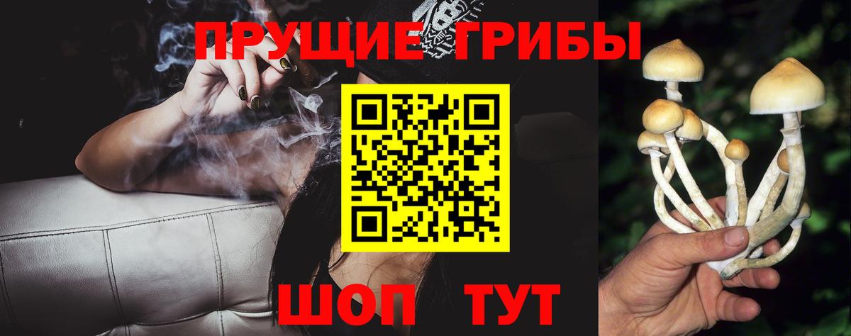 что такое   Вход с VPN  Сызрань  Галлюциногенные грибы мухоморы 